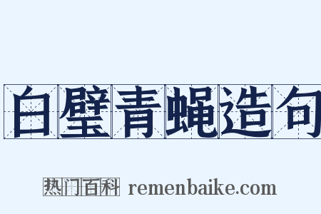 白璧青蝇造句是什么意思的图片